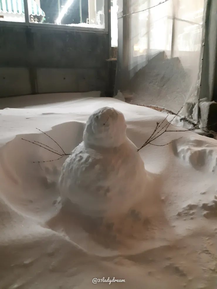 我跟肉肉一起堆的雪人