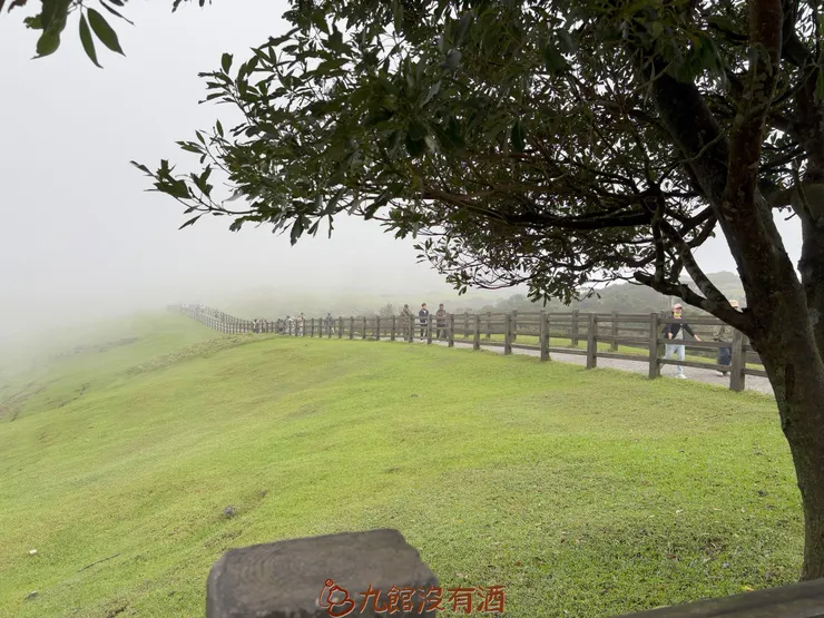 雲裡霧裡,看不清遠方道路,那就專注於腳下吧