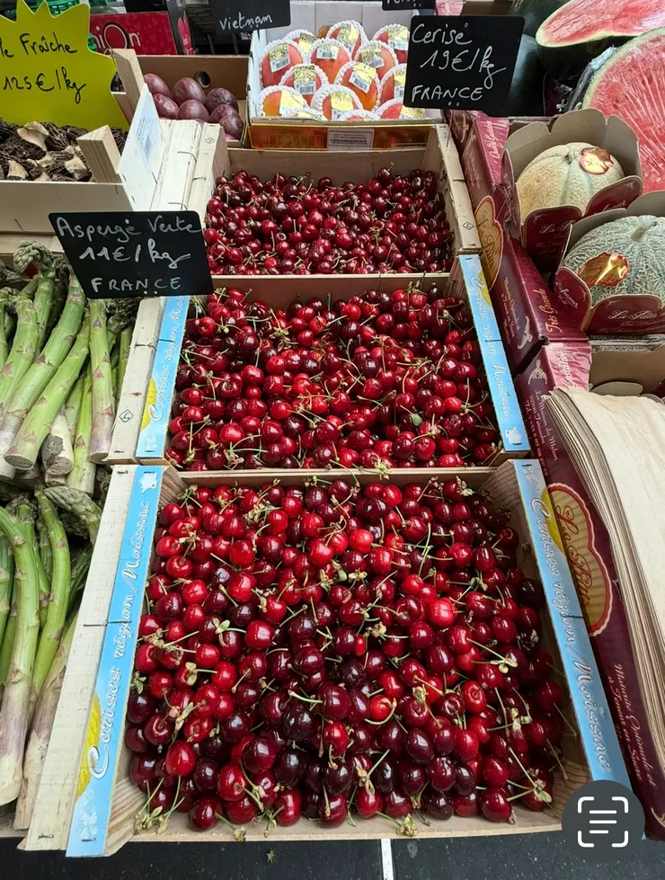 櫻桃才剛上市,偏小粒,口味也偏酸