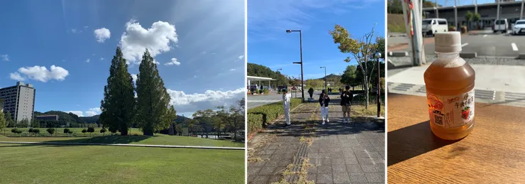 最左邊是在休息站旁邊看到的樹，那天天氣超好！最右邊是真心不推的午後紅茶。