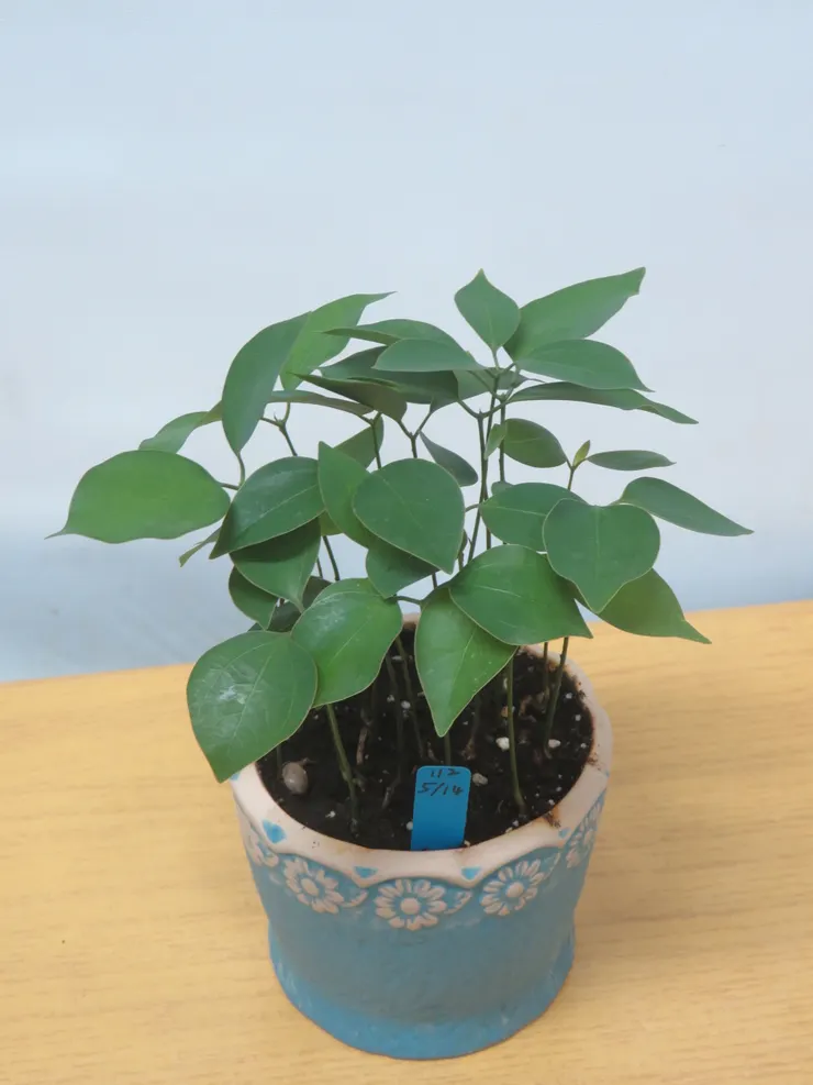 中山社大112.06.29