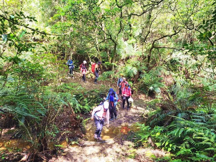 ▲隨後下鞍部較為泥濘有積水，但是積水處鋪有木板，通過尚無困難。