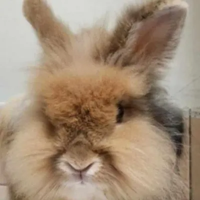 默默碎碎念(科普X碎碎念)