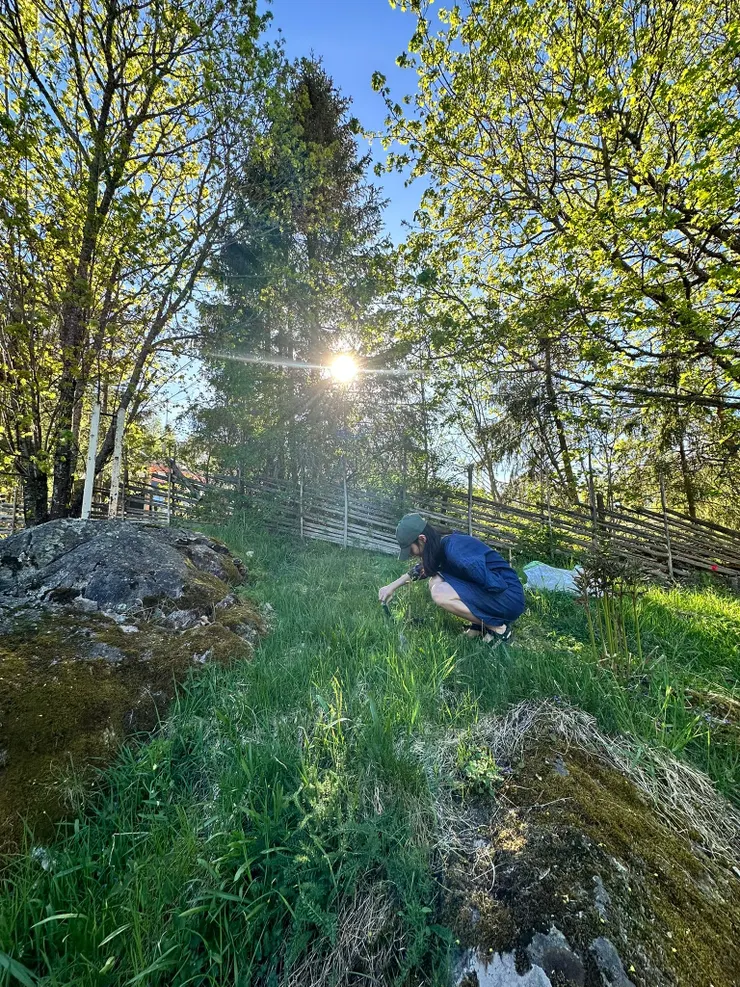 分享一下夏天在花園不知道在忙什麼的自己，