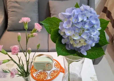 Claire！ 克萊兒心靈四季的沙龍