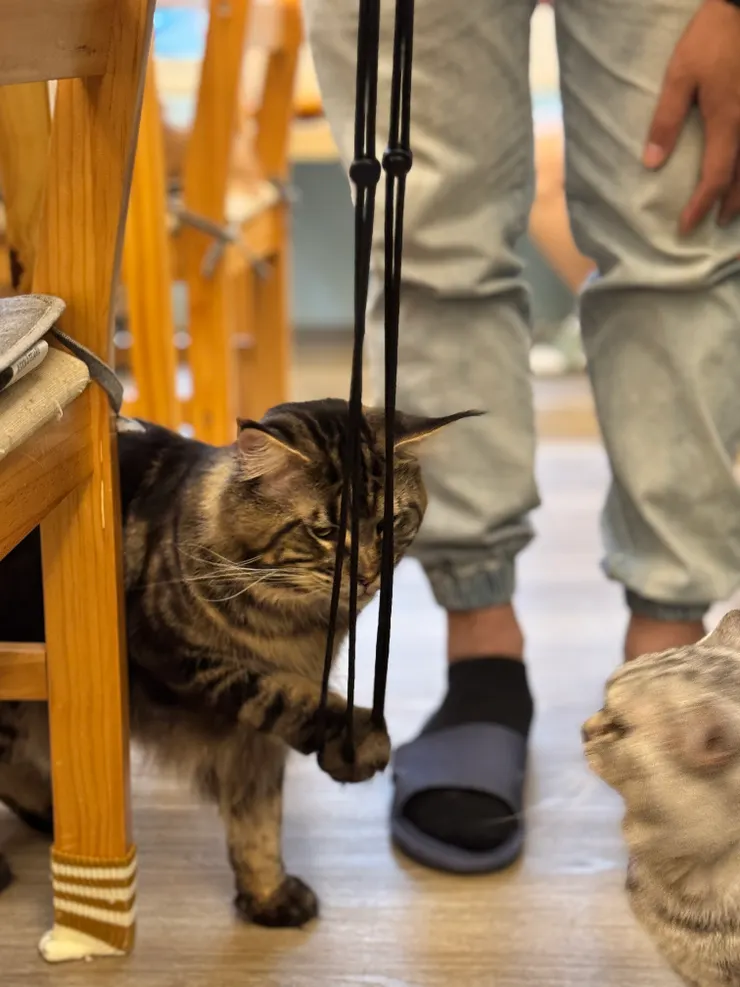 手機繩好好玩?!