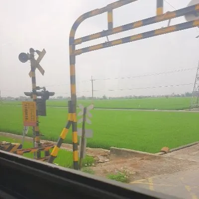 橘子地瓜球的沙龍