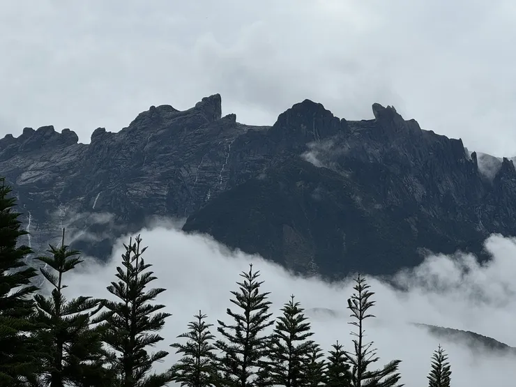 奶牛牧場見到的神山英姿
