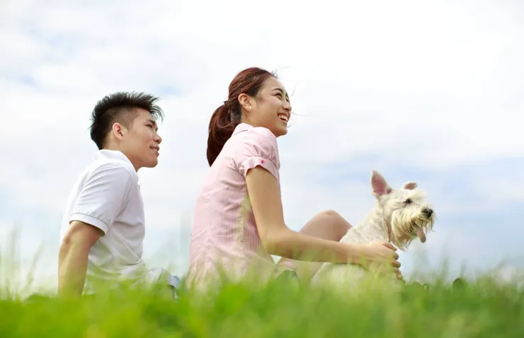 同齡或差三歲以內，這種組合最棒的地方在於「零代溝」。兩人可以一起打電動、一起遛狗，生活步調高度同步。圖/123RF圖庫