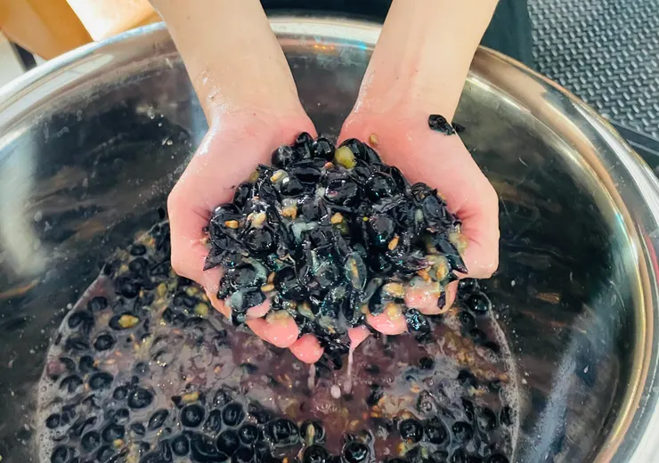 每年夏天都要釀酒