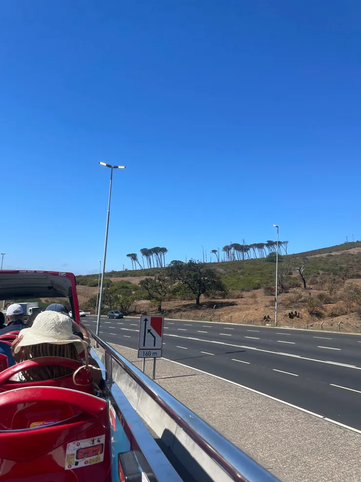 離開市區摟　（非洲的樹木是不是真的就是獅子王裏頭的背景圖）