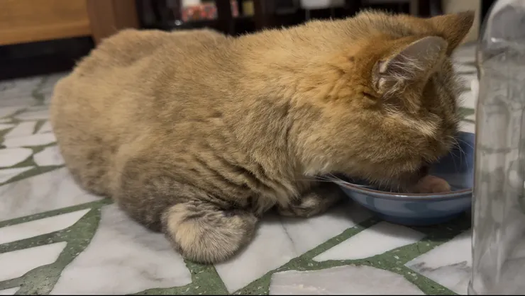 節錄自 2025/6/8 的影片節錄