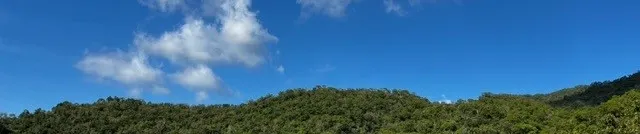 台南豪哥的沙龍