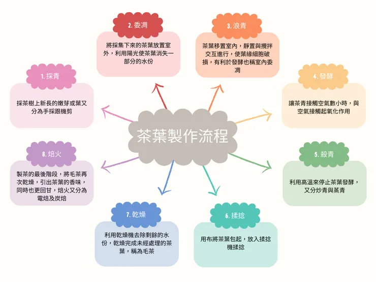製茶流程圖-自製圖表