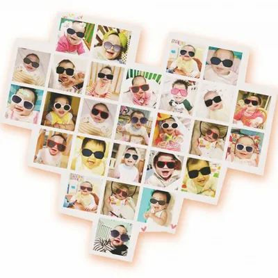 線上捐款-小額助養忠義寶貝