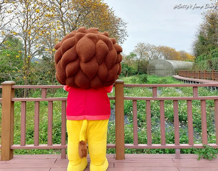 ▲新埔黃花風鈴木與皮皮獅/圖片來源:Betty's Jump Diary