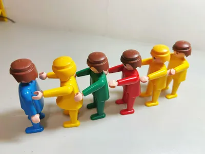 生命關係五大法則，連載 ⑤