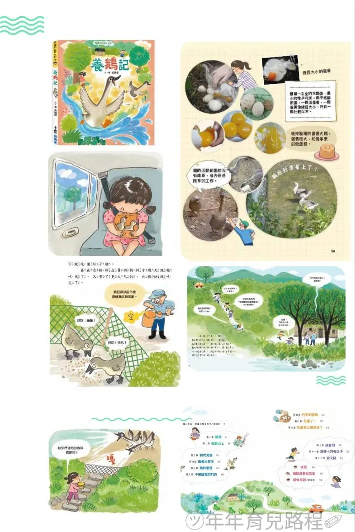 崔麗君-崔崔的山居小日子:養鵝記