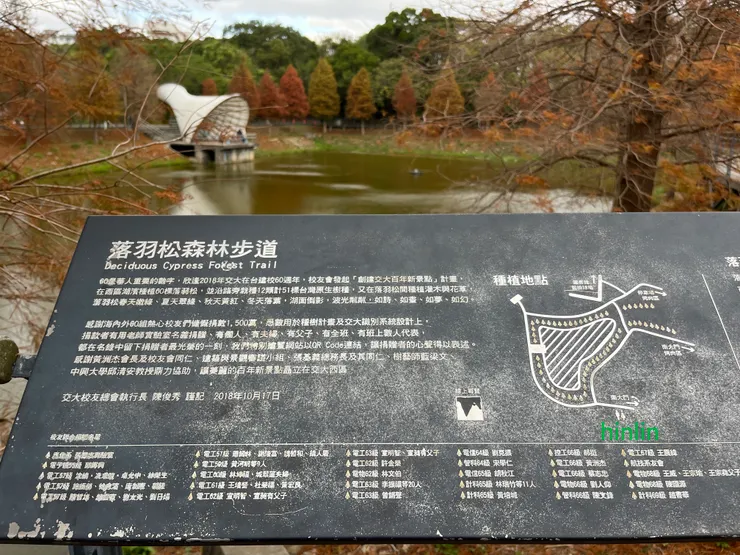 交大落羽松森林步道