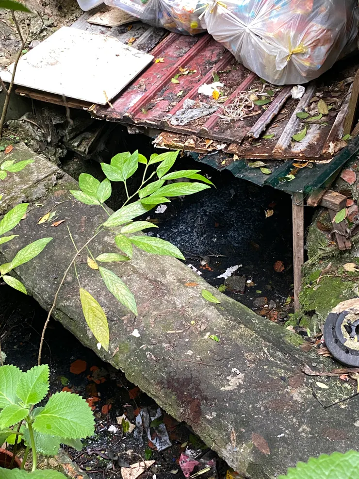 大坪林圳東幹線