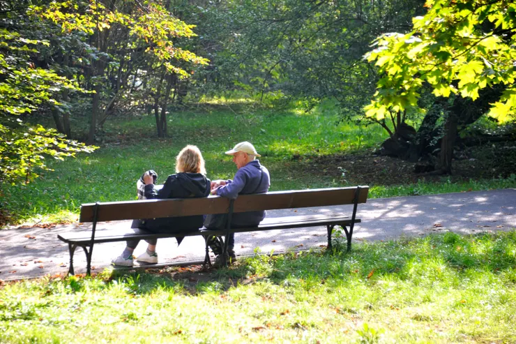 【樹林草地三兩木椅與幾條曲徑，偶逢散步蹓狗客只有更顯幽靜！里茲公園。】