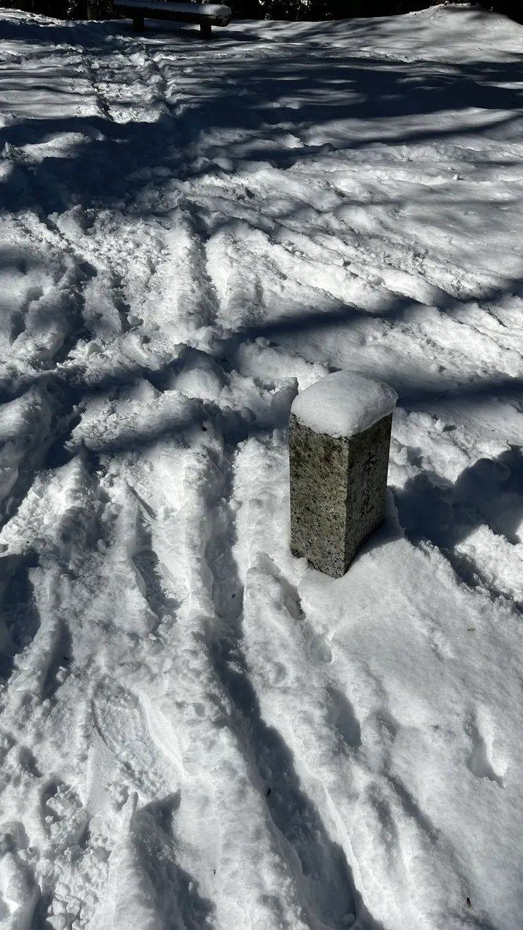 連上面都蓋著白雪，有夠可愛。