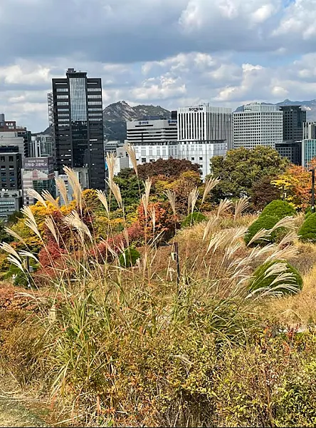 首爾南山白凡廣場
