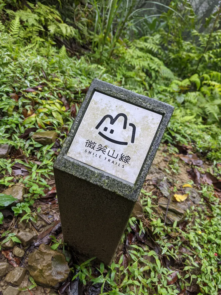 哼哼是在諷刺我嗎