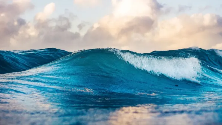 Photo by Silas Baisch on Unsplash