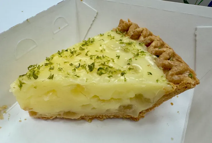 檸檬蘆薈｜Lemon Aloe Vera