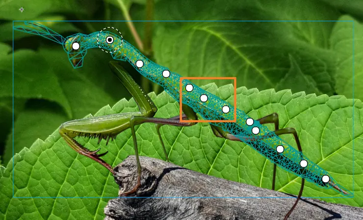 官方的示範是照片的螳螂