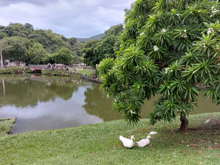 豐富的動物生態