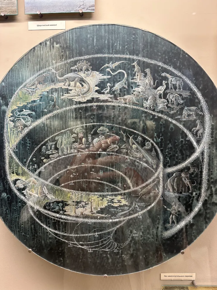 植物展區以植物視角開始呈現的演進圖（最喜歡這個）