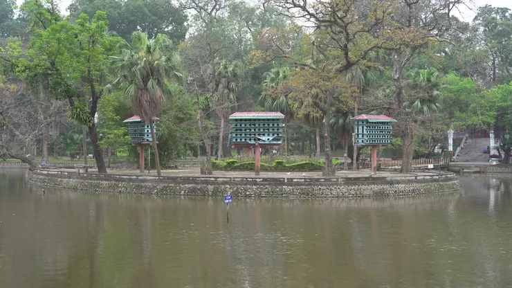 公園裡幫鴿子蓋了房子