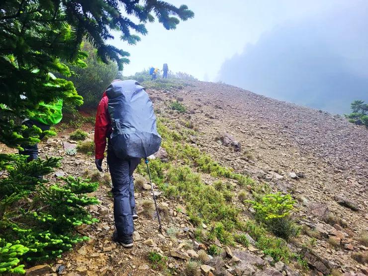 ▲上了稜線後，箭竹就沒那麼茂密了，走起來也相對輕鬆許多