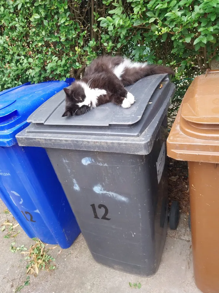 跟我一樣顏色的垃圾桶