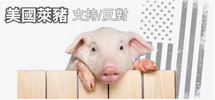 美國萊豬議題示意圖／圖片來源：2024總統大選