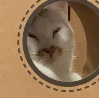 開根在中國搬磚著