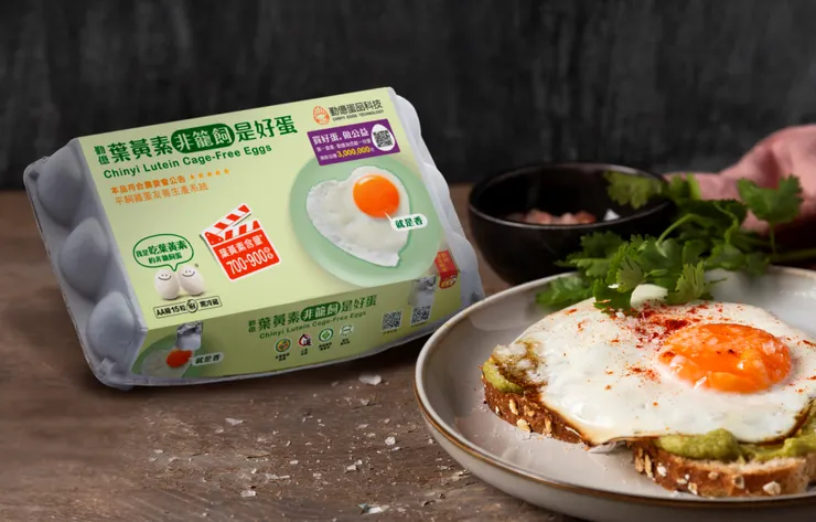 圖說：葉黃素非籠飼是好蛋打破傳統紅蛋較營養的迷思，使用友善飼養的白蛋，並餵食蛋雞多種天然營養素，吃得健康又安心。（資料來源：勤億蛋品科技）