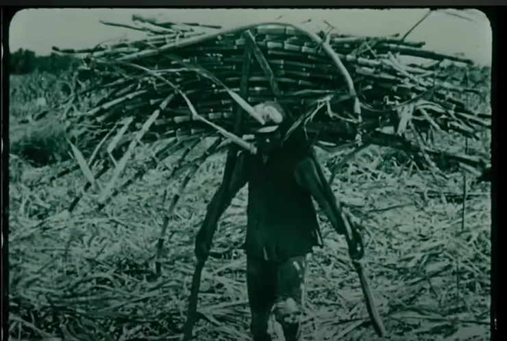 圖片來源：《福爾摩沙》Formosa截圖