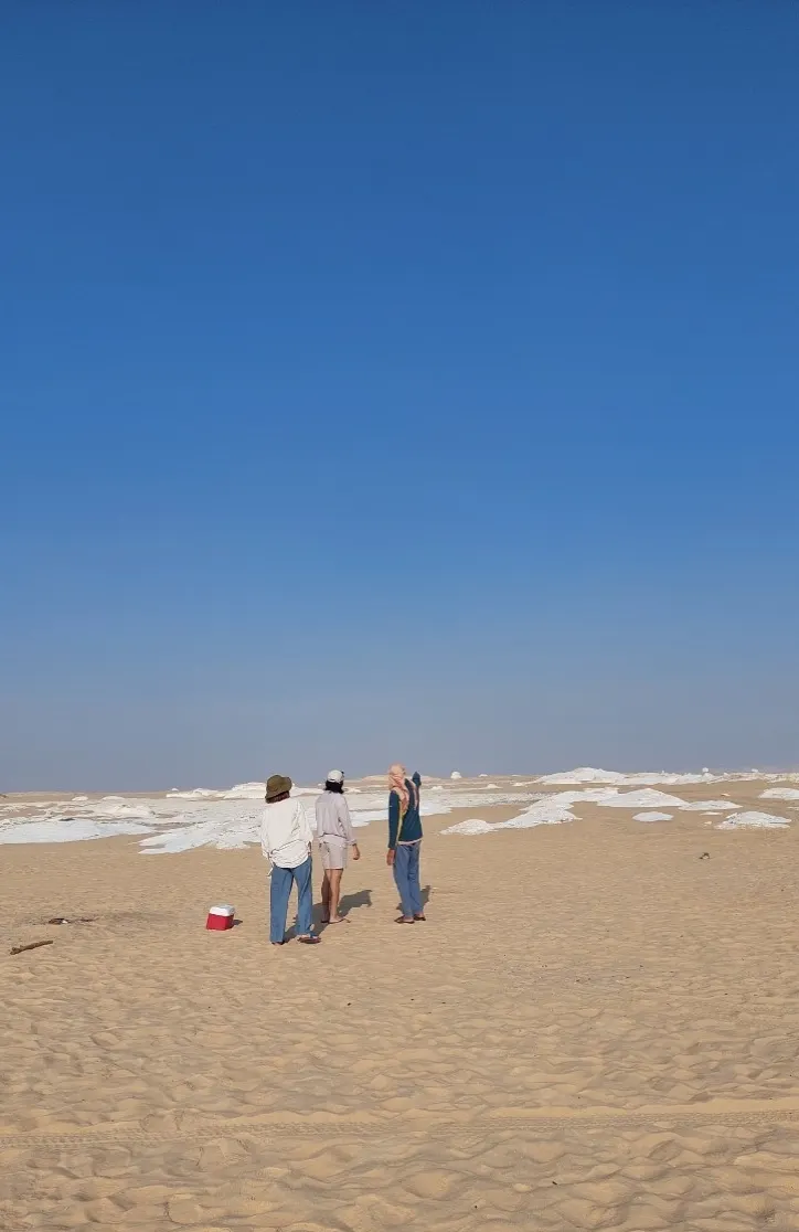 我們的嚮導 Alaa，正在指引我們方向