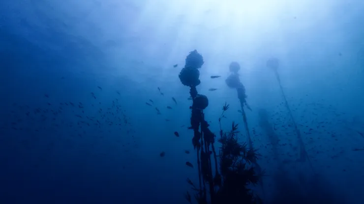 《不只潛水的潛水店》劇照／新北市學生影像新星獎 提供