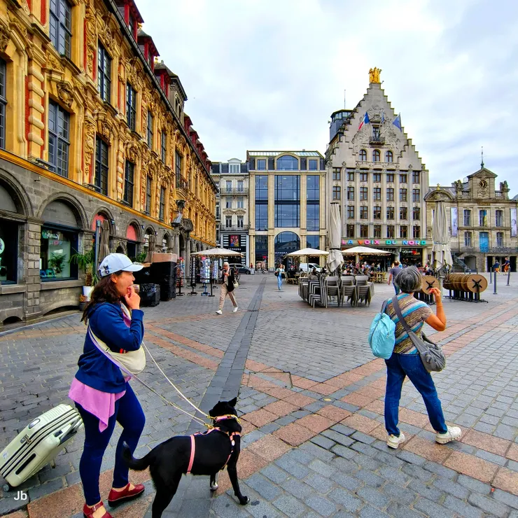 【說法國只知巴黎馬賽見識太少 走過戴高樂廣場頓覺此城佳妙！廣場於2005年被列為世界文化遺產。正面那楝有「階梯」屋頂的建築，立即令我想到布魯日。】