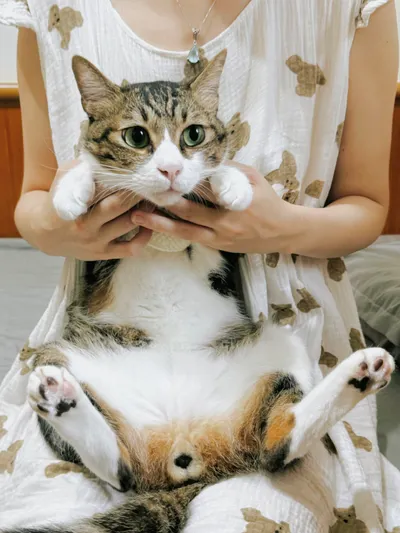 投餵我以支持寫作🍕