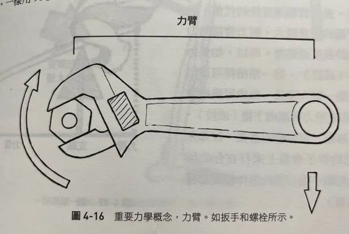 來源: 肌力訓練聖經