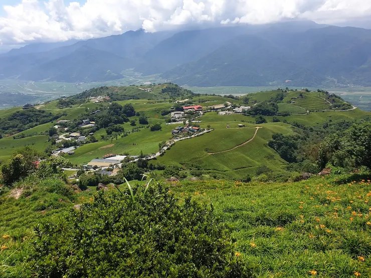 六十石山看金針花