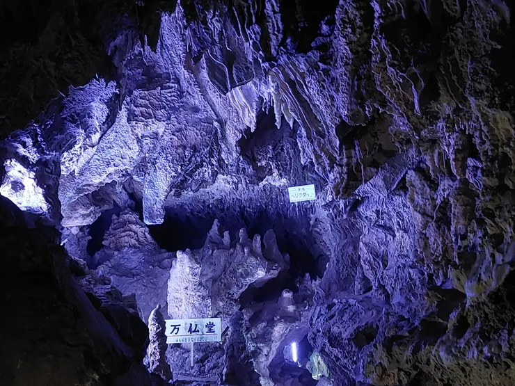 鐘乳石洞裡面都有像這樣藍紫色的照明，拍照起來格外的神秘