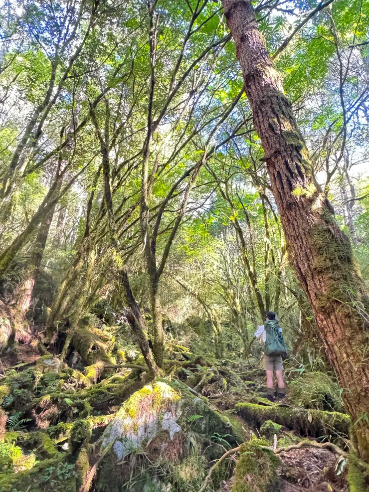 藍天白雲涼爽的天空，是爬山的好天氣。