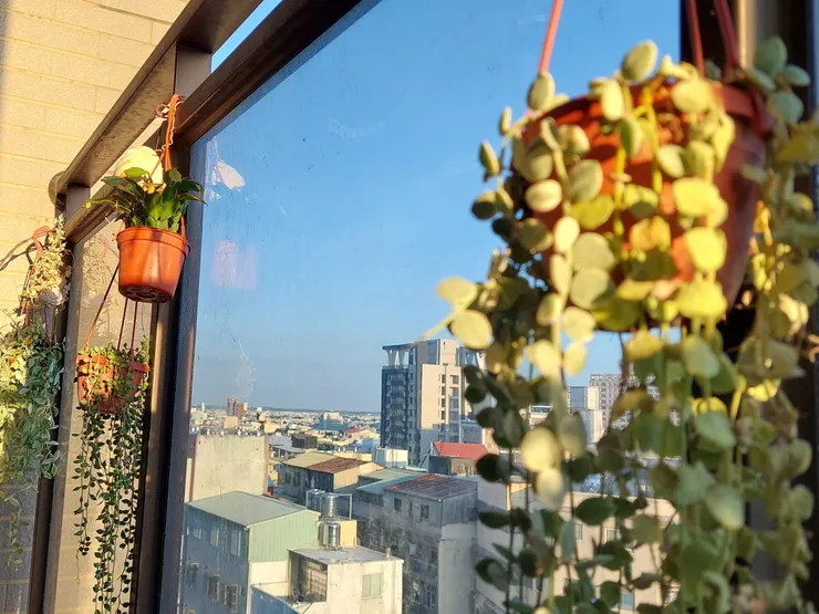 週末陽台的晨光。我思,無我。