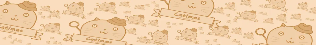 一隻在經營部落格的貓